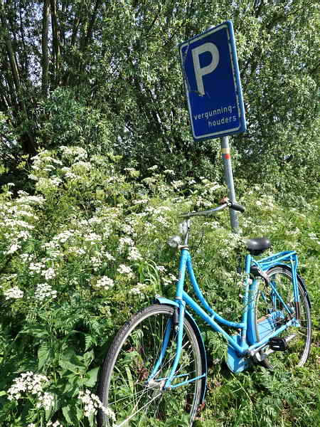 foto: Giethoorn, 23-5-2019