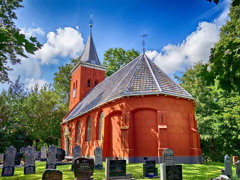 Boer, Mariakerk, 8-8-2019 Boer, Mariakerk, 8-8-2019