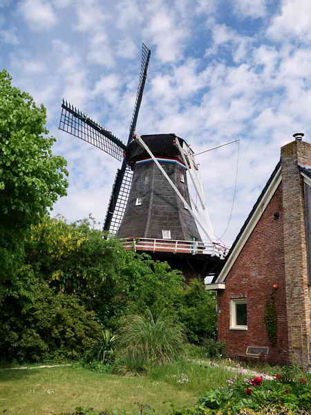 Pieterburen, molen 'De Vier Winden', 21-5-2020 Pieterburen, molen 'De Vier Winden', 21-5-2020