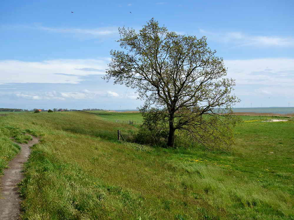 Mirns, Mirnser Klif, 10-5-2021