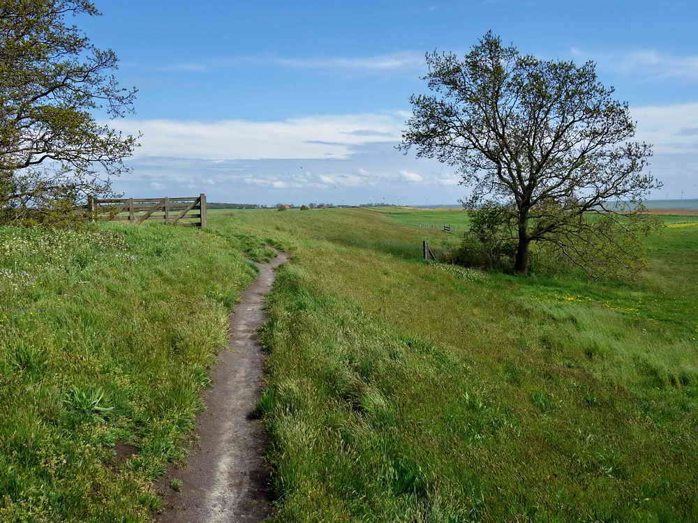 Mirns, Mirnser Klif, 10-5-2021