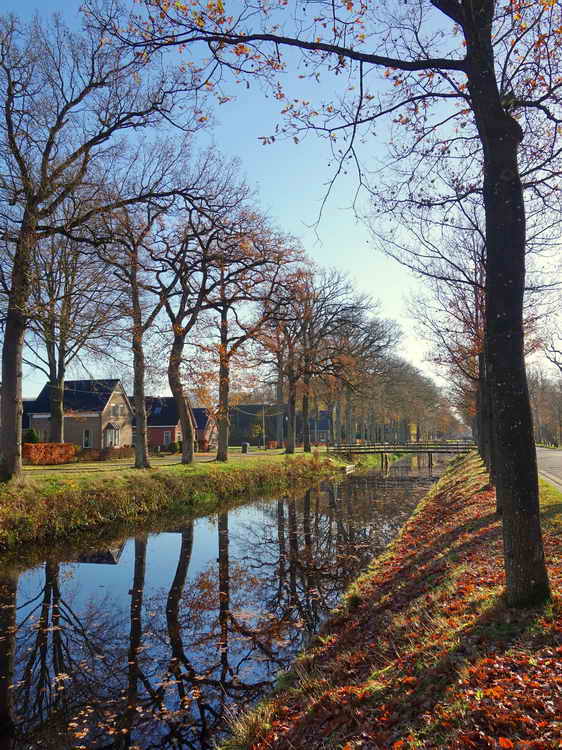 Bakkeveen, 22-11-2021 Bakkeveen, 22-11-2021