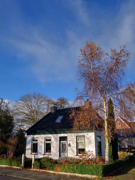 Damwoude, 22-11-2021