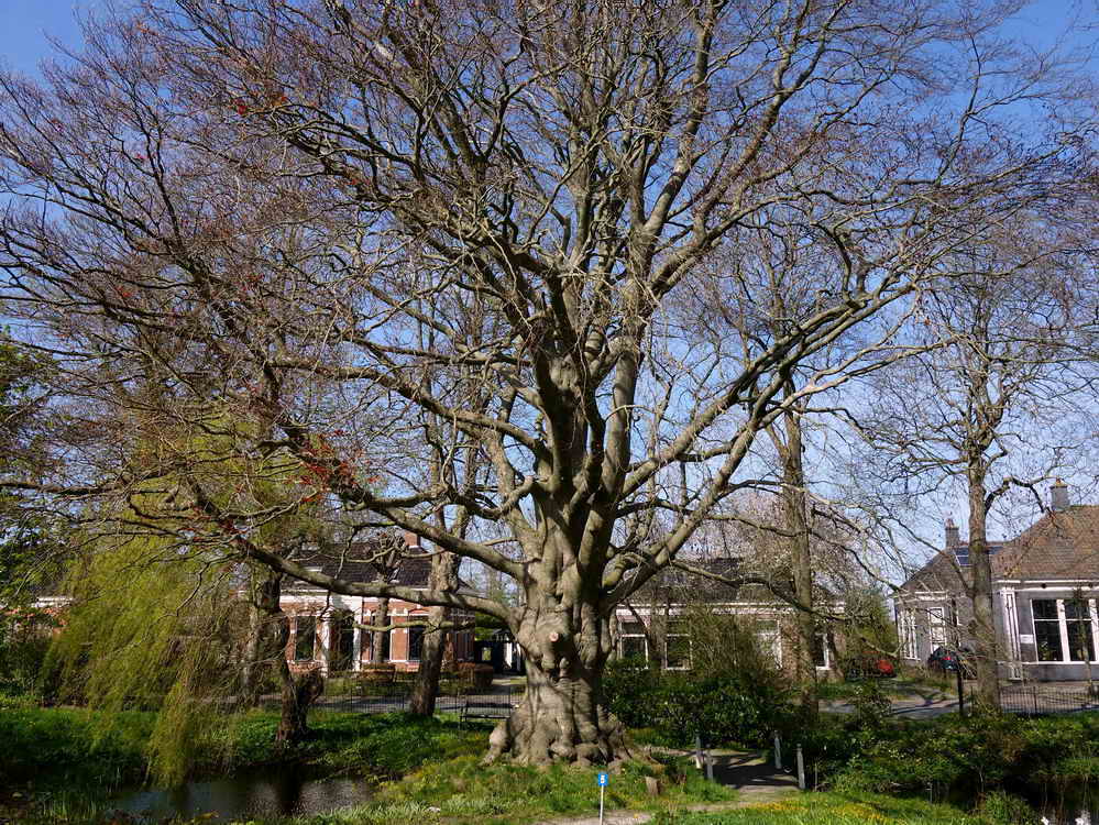 Pieterburen, Domies Toen, 21-4-2022 Pieterburen, Domies Toen, 21-4-2022