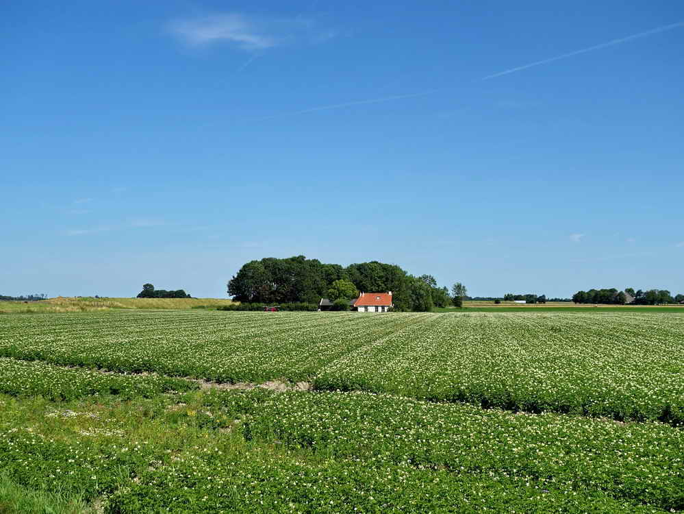 Nabij Electra, ruimte alom, 24-7-2024