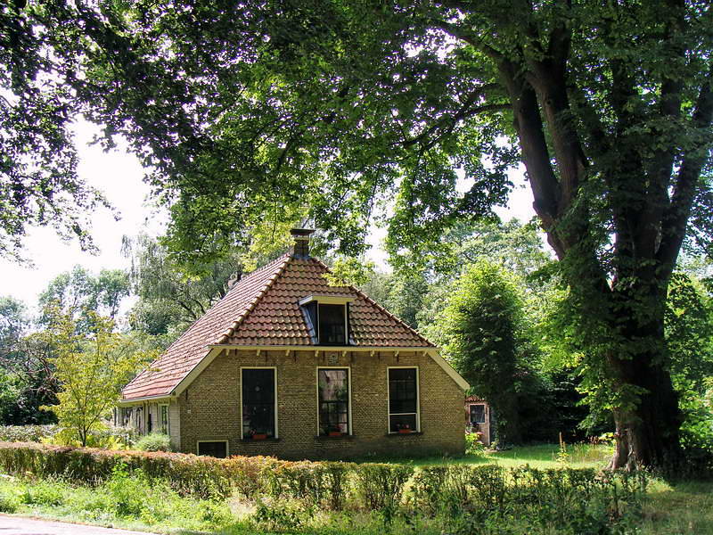 Bakkeveen, Jarig van der Wielenwei, 6-8-2015 Bakkeveen, Jarig van der Wielenwei, 6-8-2015