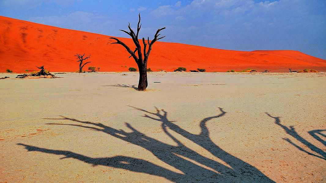 Sossusvlei, Dooivlei (Dode vallei), sept. 2010